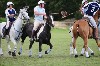 UKPA  NC Sat_1413